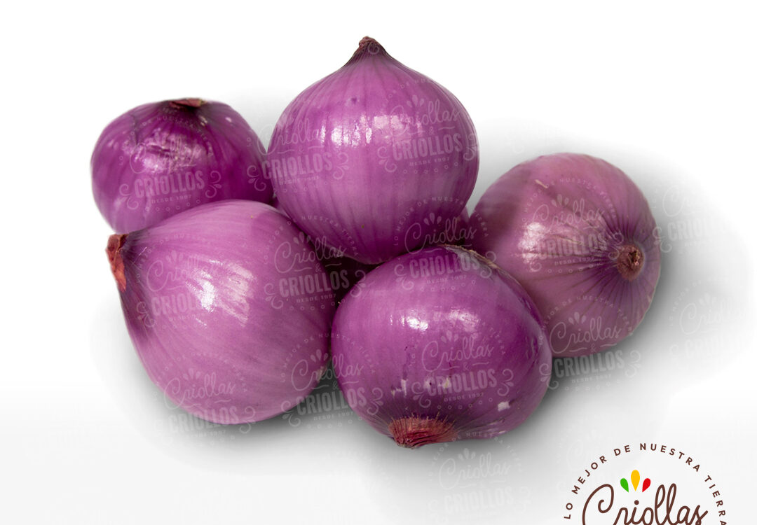 Cebolla Cabezona Roja criollas y criollos 1080x750