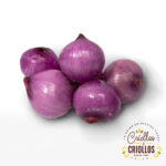 Cebolla-Cabezona-Roja
