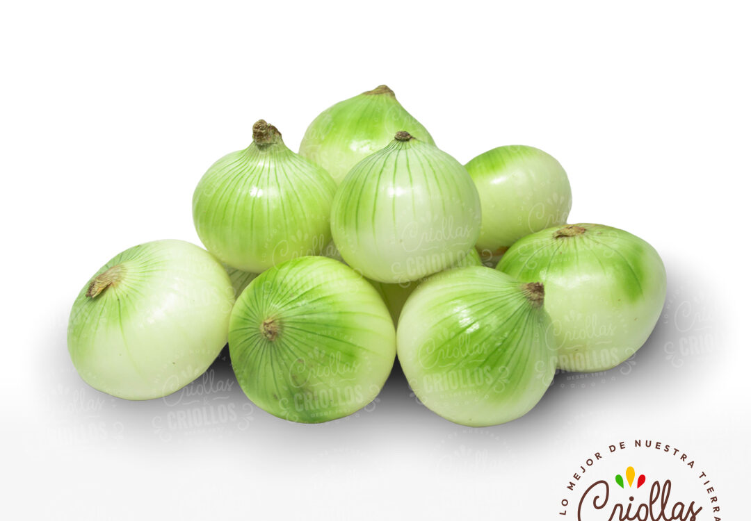 Cebolla Cabezona Verde criollas y criollos 1080x750