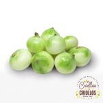 Cebolla Cabezona Blanca