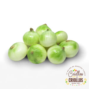 Cebolla Cabezona Blanca