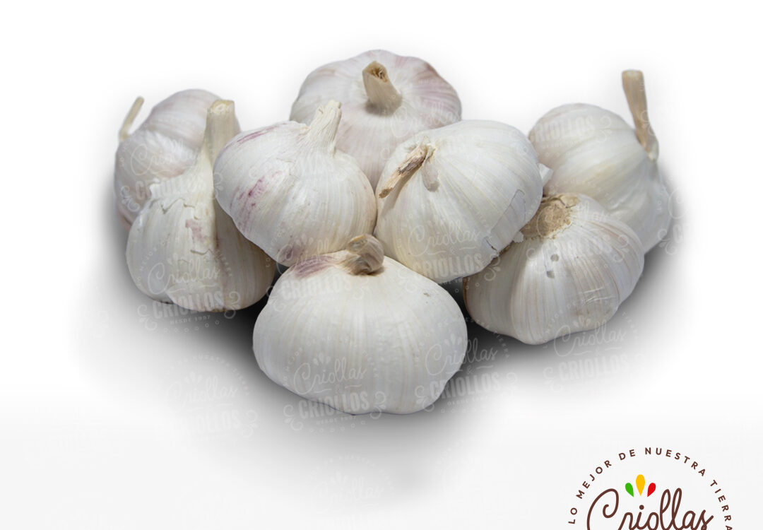 ajo criollas y criollos 1080x750