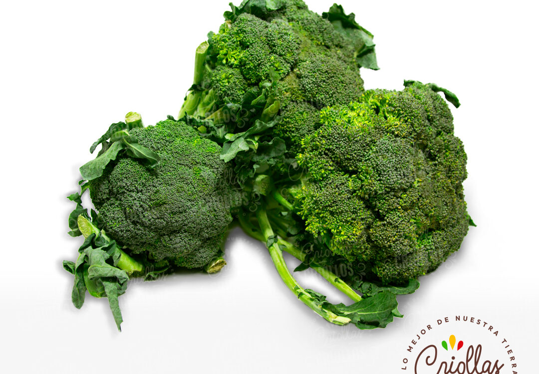 brocoli criollas y criollos 1080x750