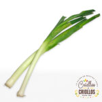 CEBOLLA LARGA