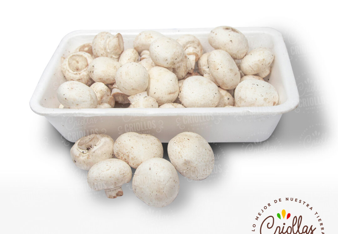 champinones criollas y criollos 1080x750