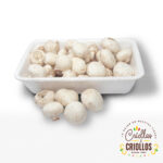 CHAMPIÑONES