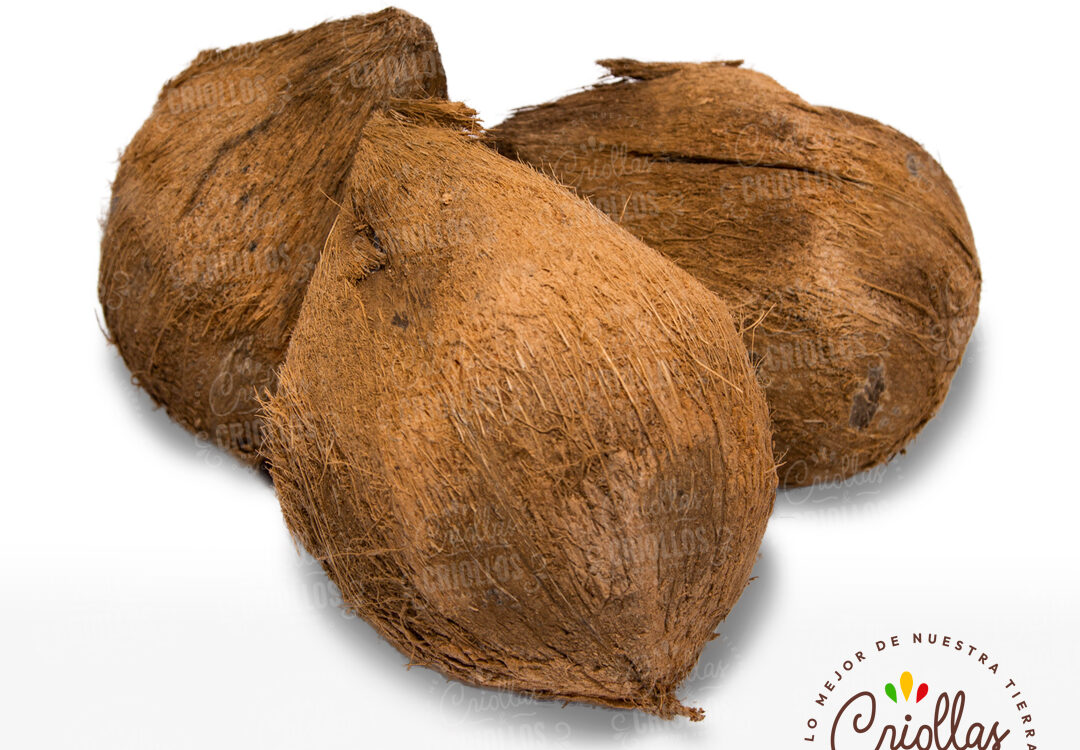 coco criollas y criollos 1080x750