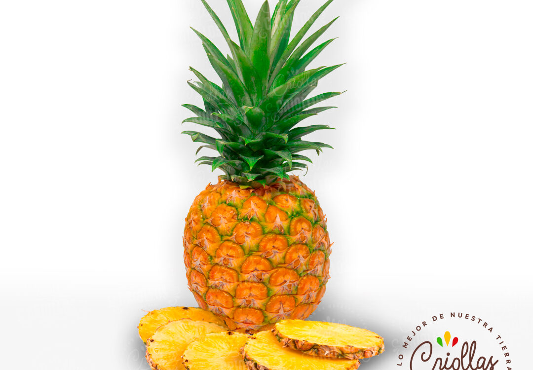 pina criollas y criollos 2 1080x750