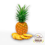 PIÑA