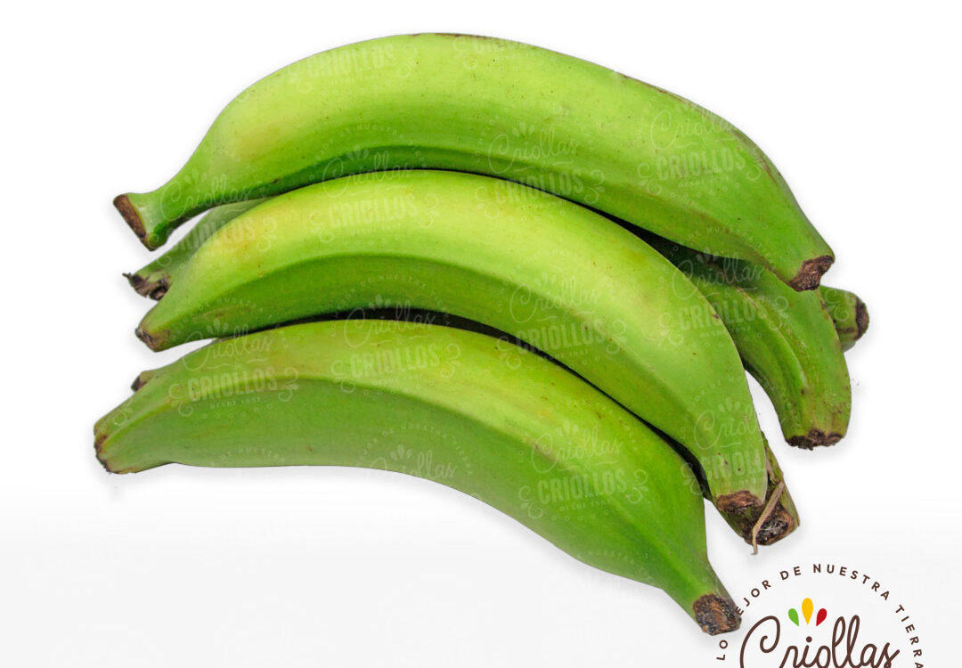 platano verde criollos y criollas 1080x750