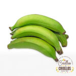 PLATANO VERDE