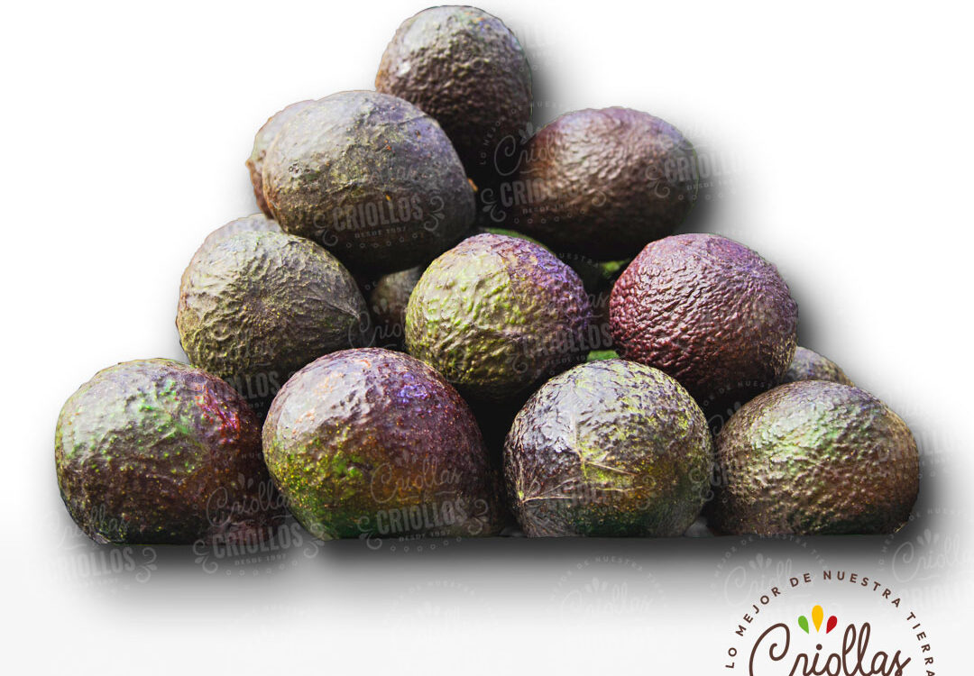 Aguacate hass criollas y criollos 1080x750