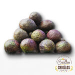 Aguacate Hass