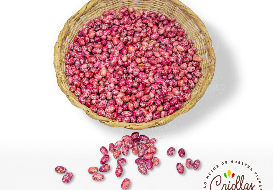Frijol Criollas Y Criollos 1080x750