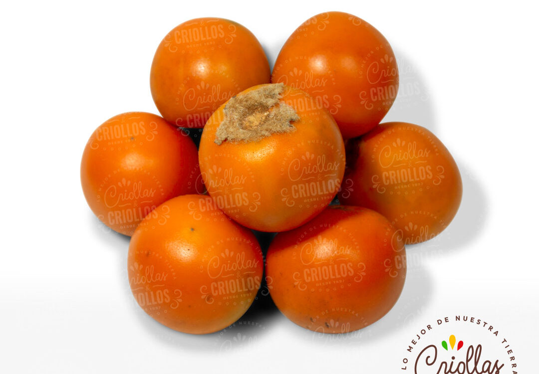 Lulo Criollas Y Criollos 1080x750