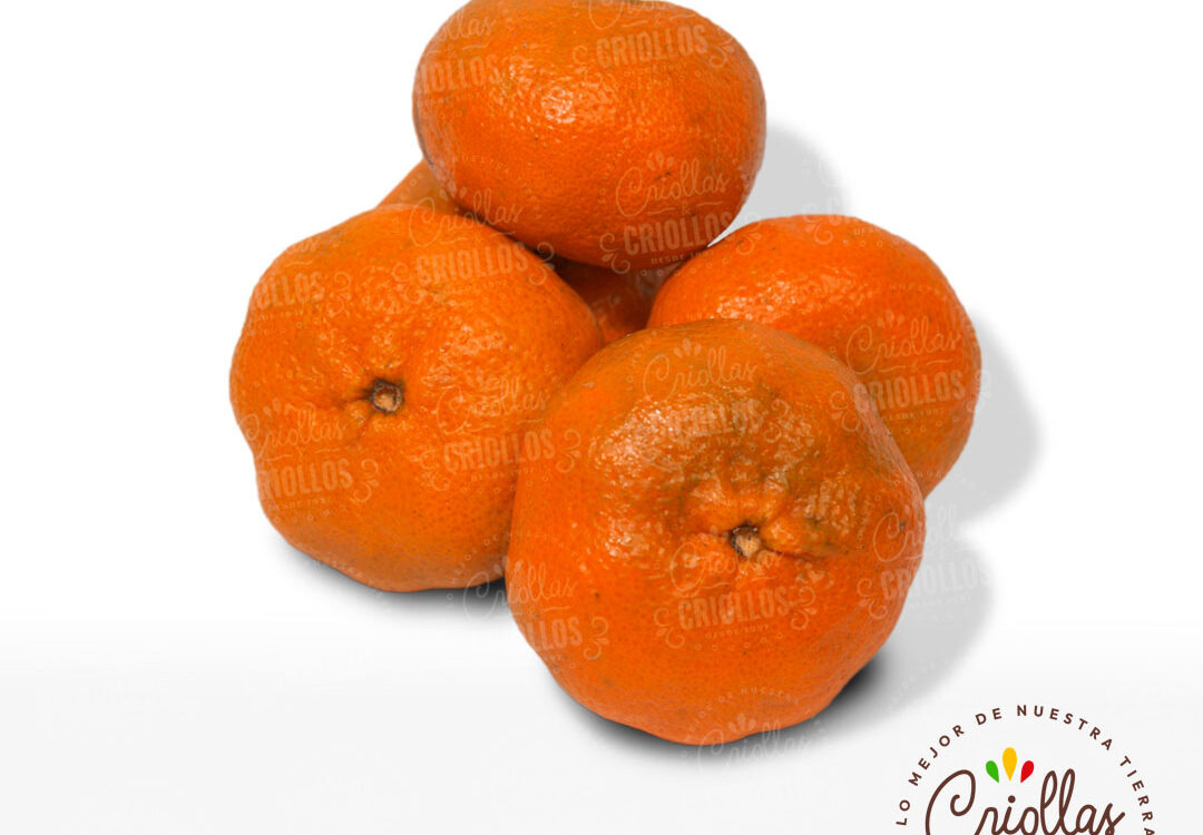 Mandarina Criollas Y Criollos 1080x750