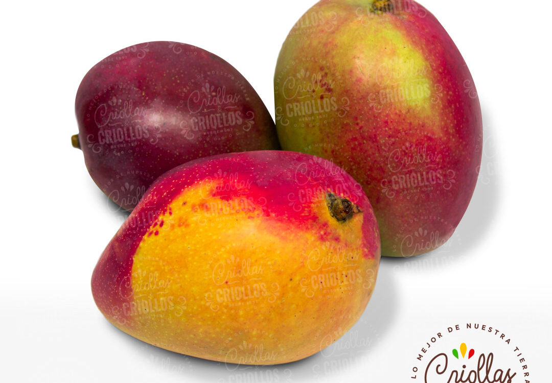 Mango Criollas Y Criollos 1080x750