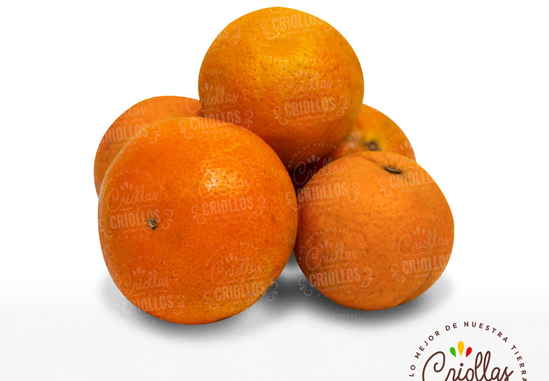 Naranja Criollas Y Criollos 1080x750