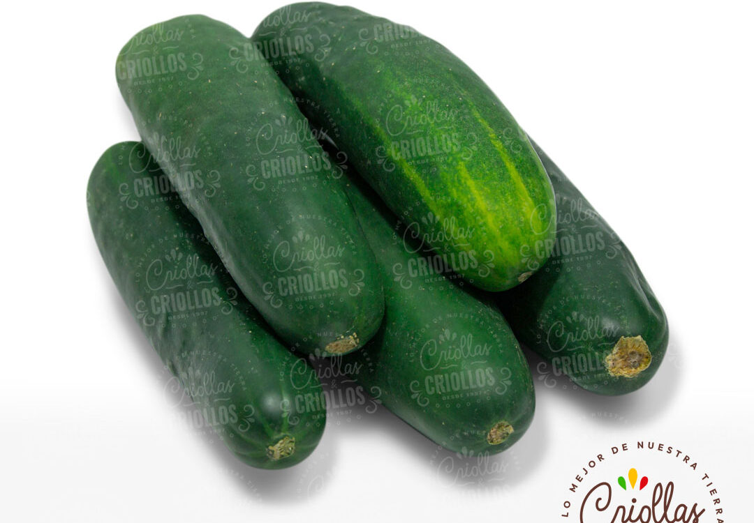 Pepino Cohombro Criollas Y Criollos 1080x750