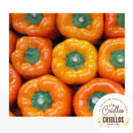 Pimenton Amarillo