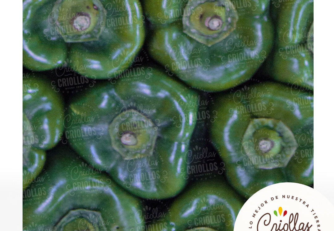 Pimenton verde criollas y criollos 1080x750