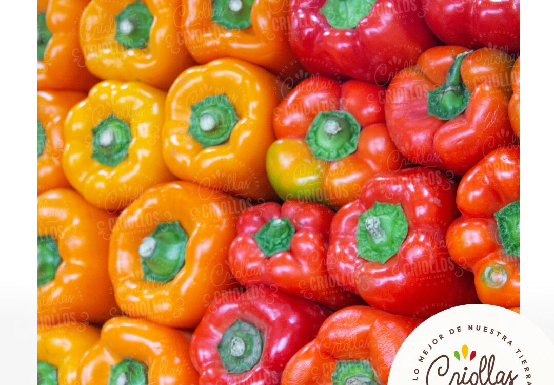 Pimentones naranja amarillo verde rojo verde criollas y criollos 1080x750