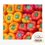Pimentones naranja amarillo verde rojo verde