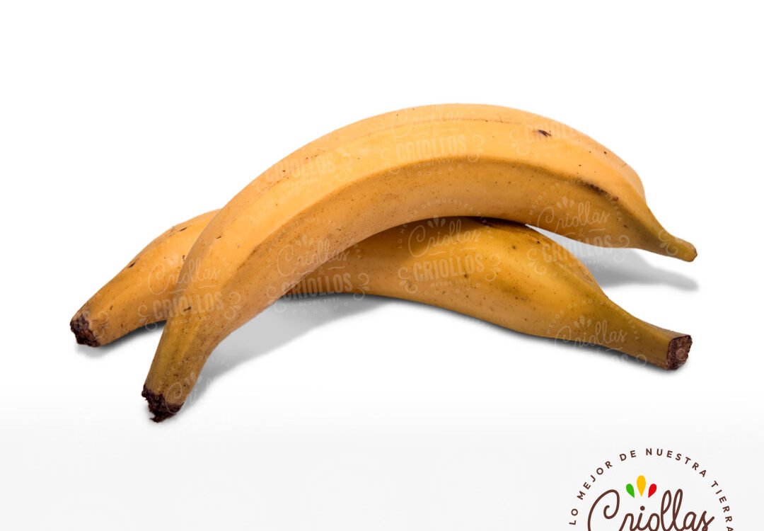 Platano Maduro Criollas Y Criollos 1080x750
