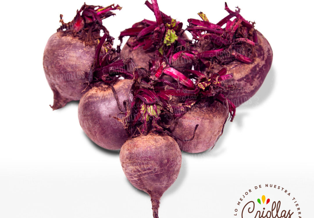 Remolacha Criollas Y Criollos 1080x750