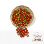 Tomate Cherry