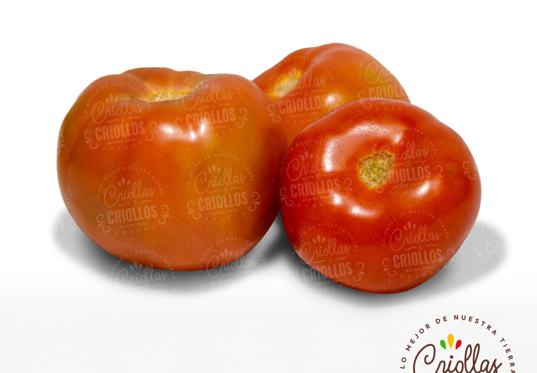 Tomate De Guiso Criollas Y Criollos 1080x750