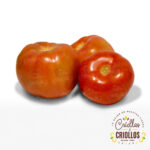 Tomate De Guiso