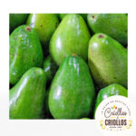 Aguacate Papelillo