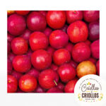 Ciruela