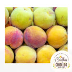 Durazno Criollo