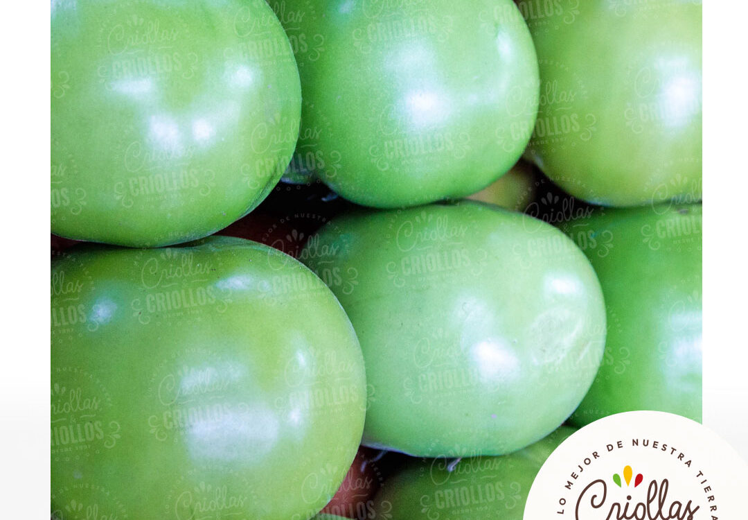 tomate verde criollas y criollos 1080x750