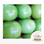 Tomate verde