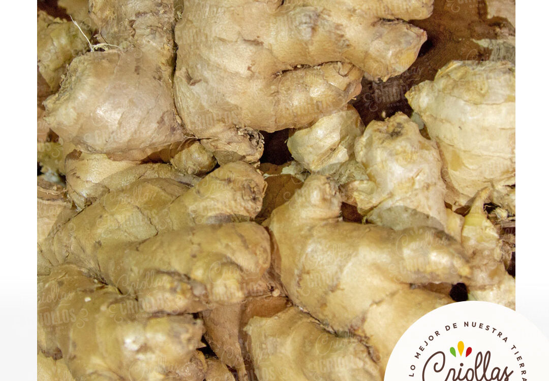 Jengibre criollas y criollos 1080x750