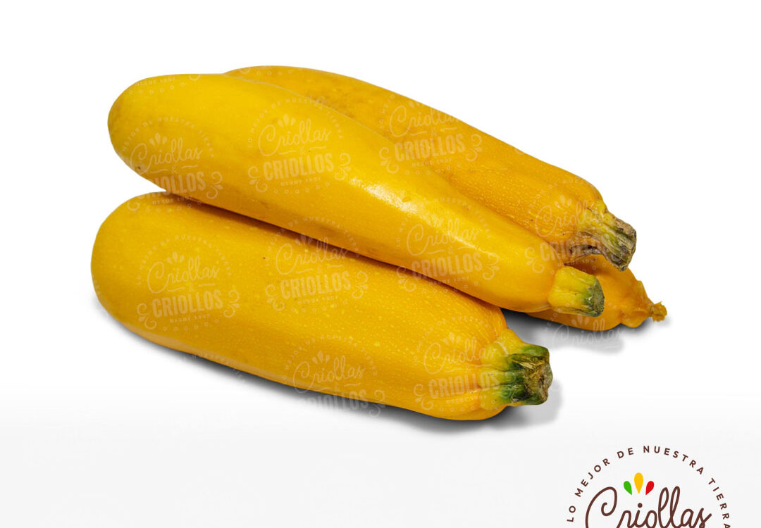 Zucchini Amarillo Criollas Y Criollos 1080x750
