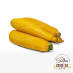 Zucchini Amarillo