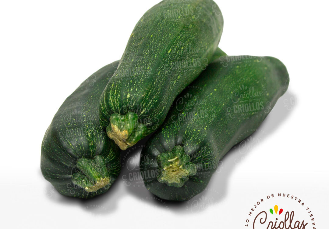 Zucchini Verde Criollas Y Criollos 1080x750