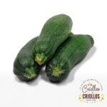 Zucchini Verde