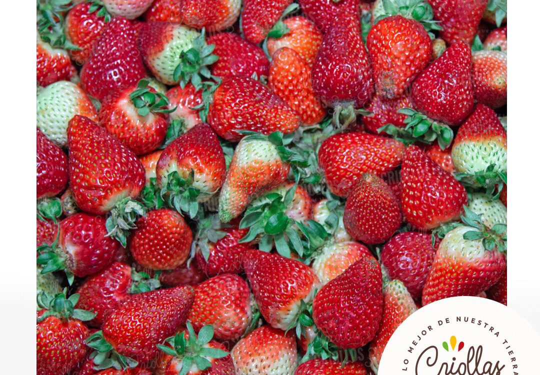 fresas criollas y criollos 1080x750