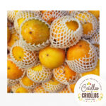 Granadilla