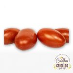Tomate San Marzano