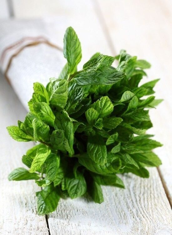 Aromatricas 550x750