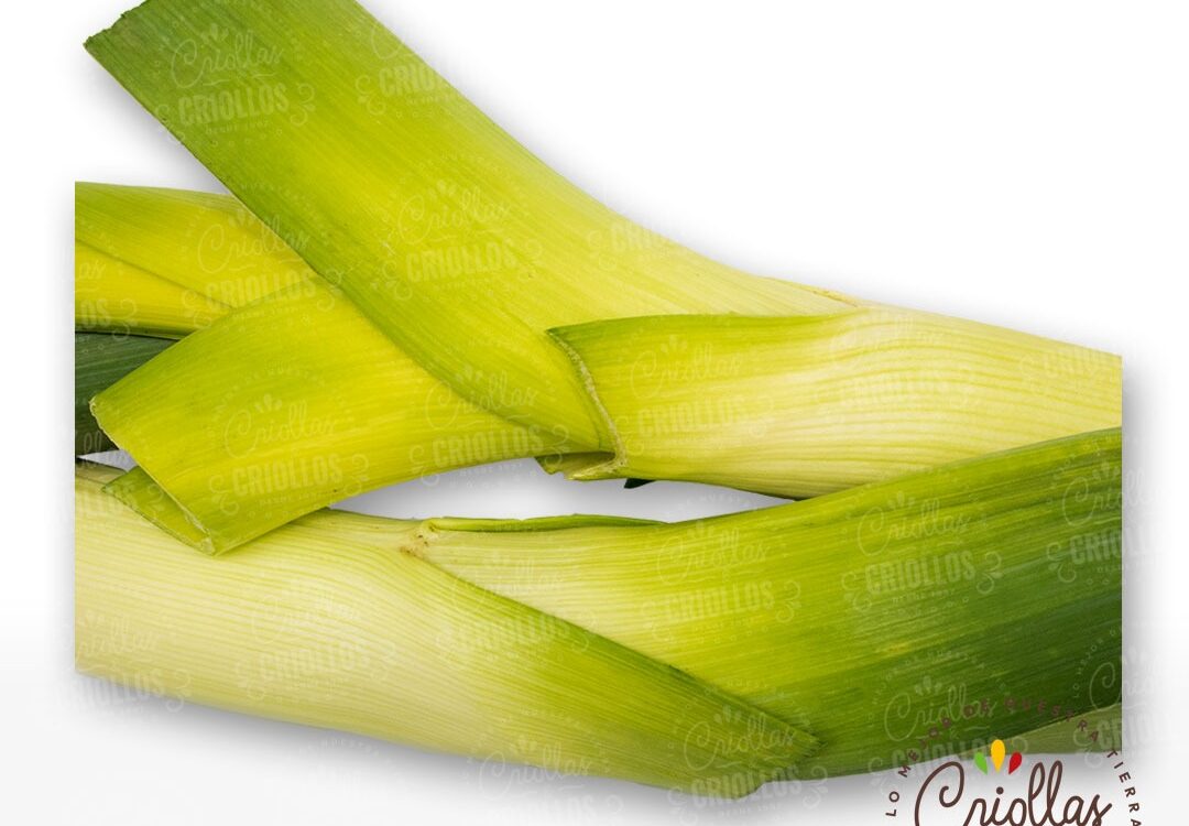 Cebolla Puerro 1080x750