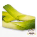 Cebolla Puerro