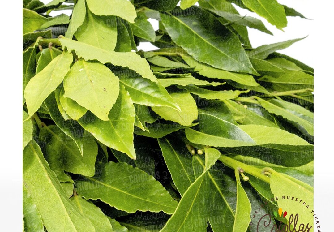 Laurel 1080x750