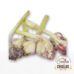 Ajo Criollo